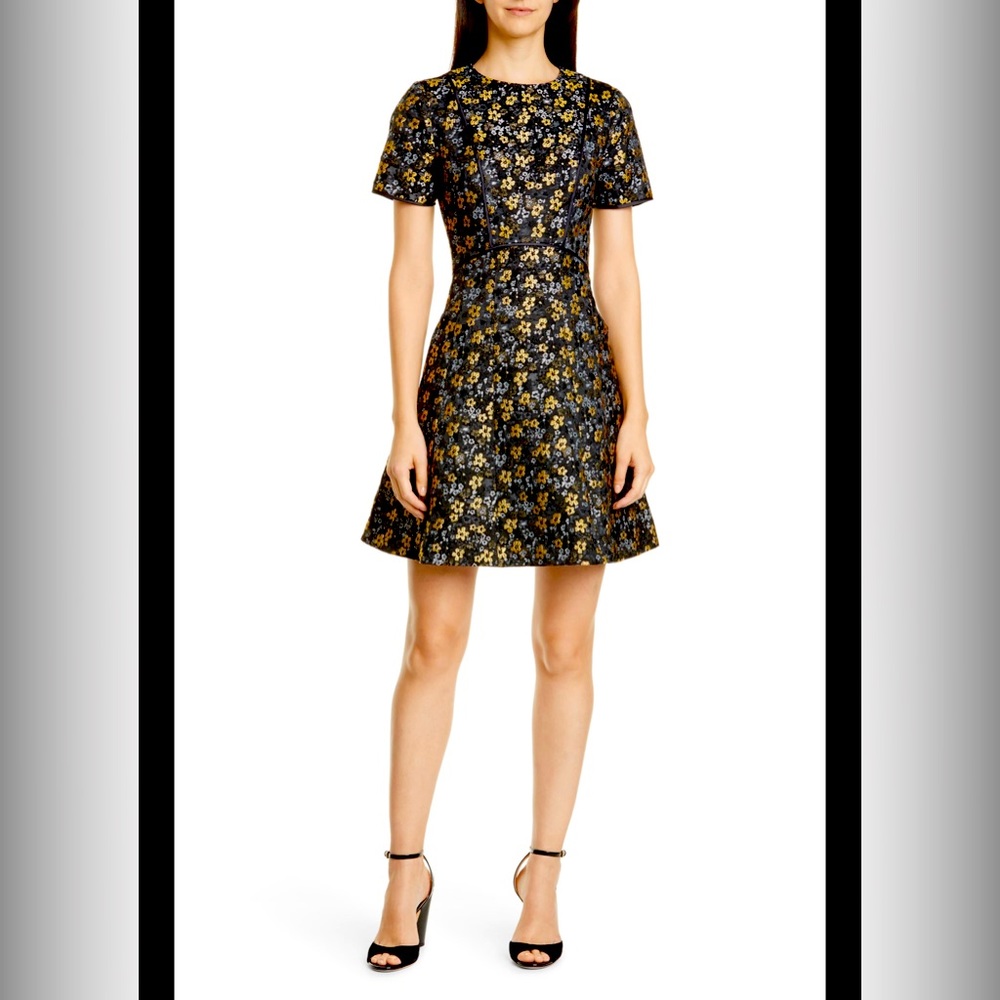 Ted Baker Skater Dress